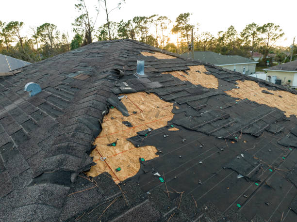 Best Metal Roofing Installation  in Bryan, OH
